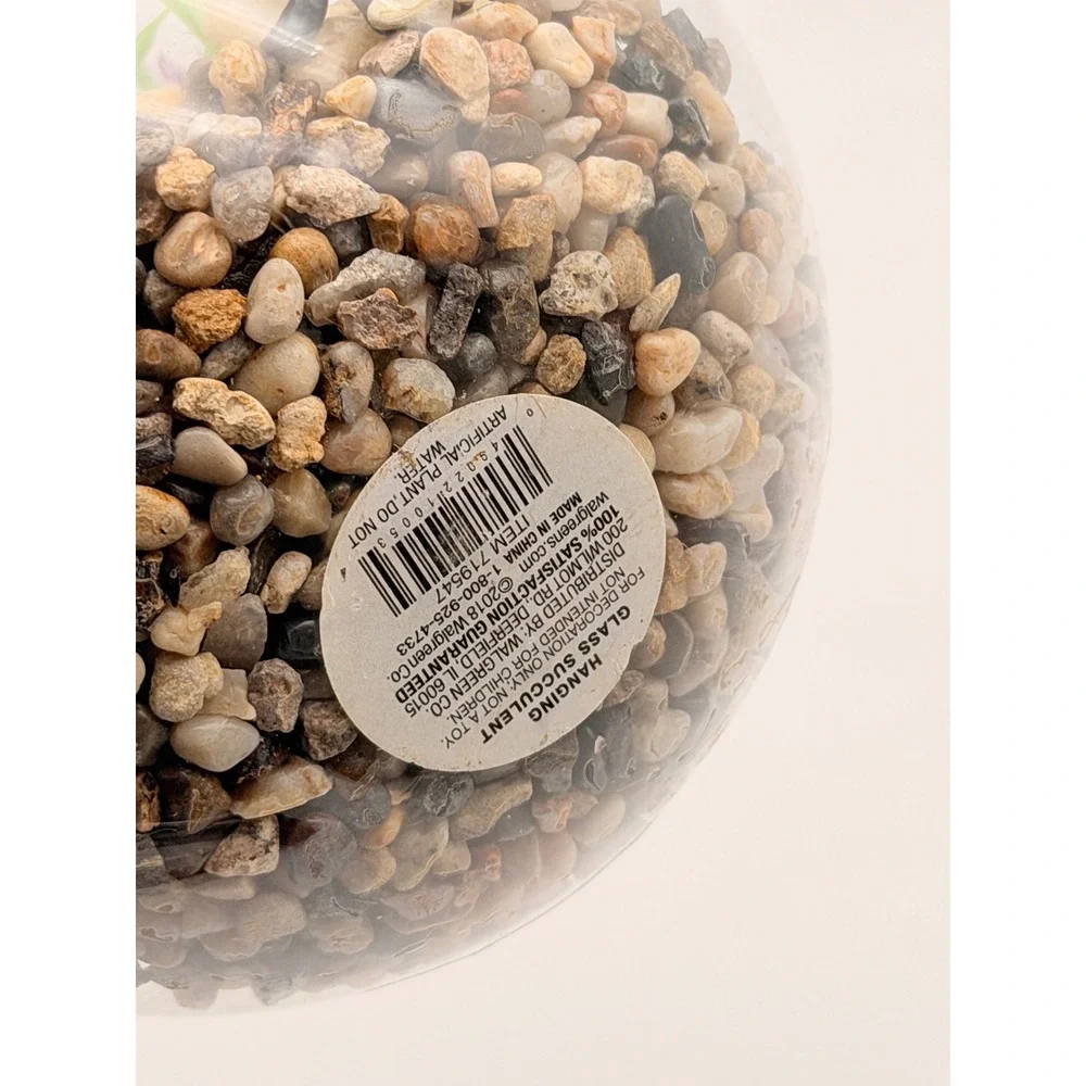 Walgreens Hanging Glass Succulent Terrarium Artificial Lavender 4.5 Inch Orb
